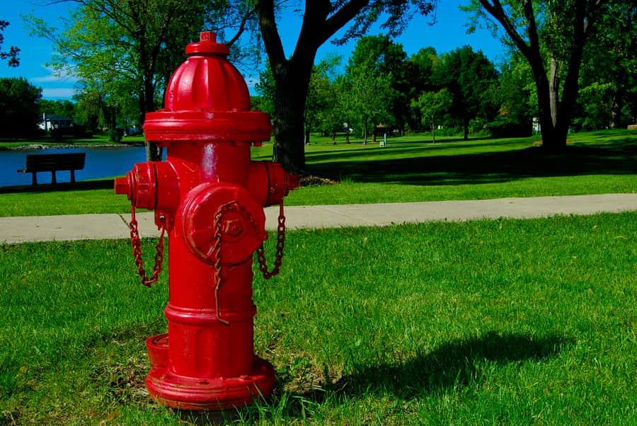 obrazek przedstawia hydrant na trawniku